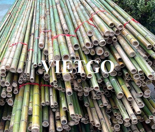 Đối tác đến từ Lebanon cần tìm nhà cung cấp cho đơn hàng xuất khẩu gậy tre tới thị trường Qatar