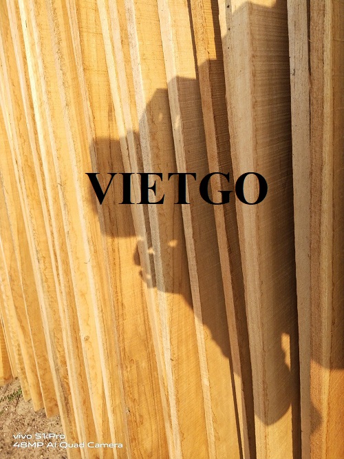Cơ hội xuất khẩu gỗ teak xẻ sang thị trường Ấn Độ
