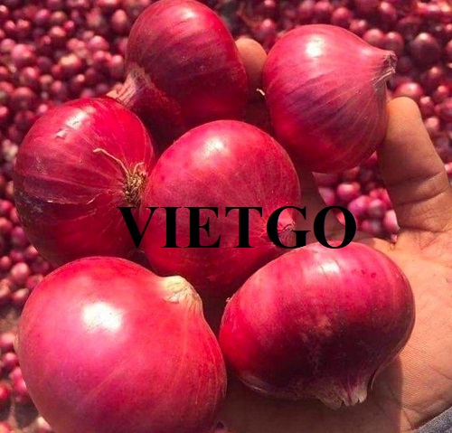 Cơ hội hợp tác xuất khẩu sản phẩm hành tím cùng vị khách hàng đến từ Hoa Kỳ