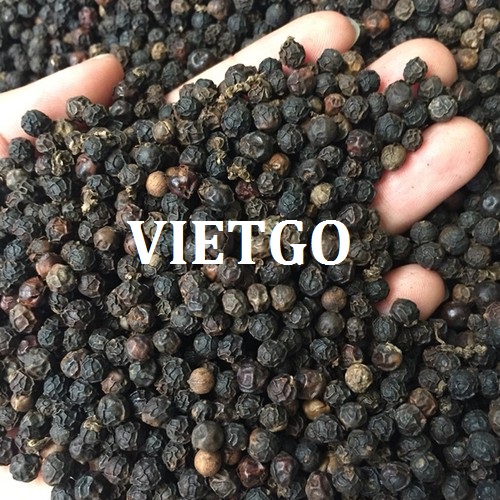 Một doanh nghiệp tại Ấn Độ đang cần nhập khẩu gấp sản phẩm tiêu đen