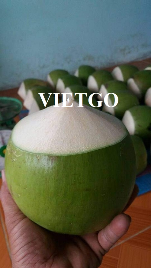 Cơ hội hợp tác với vị khách hàng người UAE cho đơn hàng xuất khẩu dừa tươi