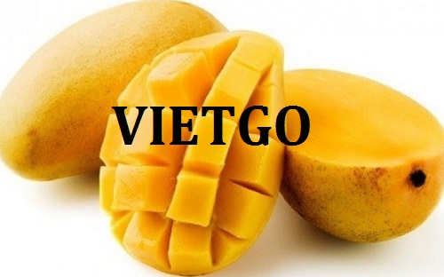 Cơ hội trở thành nhà cung cấp cho đơn hàng xuất khẩu xoài sang thị trường Hàn Quốc