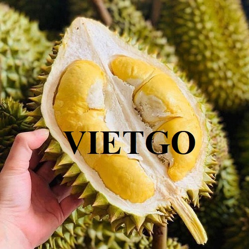 Cơ hội hợp tác để xuất khẩu sản phẩm sầu riêng đến thị trường Trung Quốc