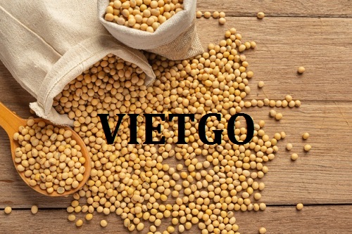 Cơ hội hợp tác xuất khẩu đậu nành sang thị trường Trung Quốc đến từ vị khách hàng người Ý