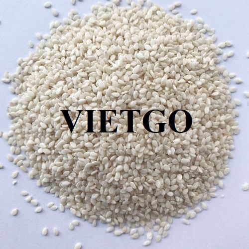 Thương vụ xuất khẩu hạt mè sang thị trường Thổ Nhĩ Kỳ