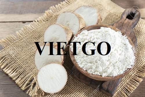 Thương vụ xuất khẩu tinh bột sắn sang thị trường Trung Quốc