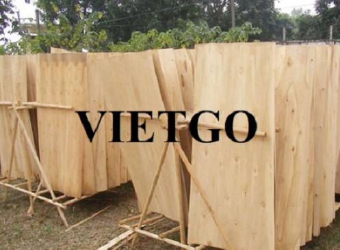 Cơ hội hợp tác với doanh nghiệp Ấn Độ cho đơn hàng xuất khẩu ván bóc bạch đàn
