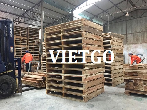 Thương vụ xuất khẩu pallet sang thị trường New Zealand