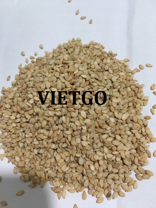 Cơ hội xuất khẩu hạt mè đến thị trường Thổ Nhĩ Kỳ