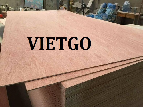 Cơ hội hợp tác với doanh nghiệp Ấn Độ cho đơn hàng xuất khẩu gỗ dán