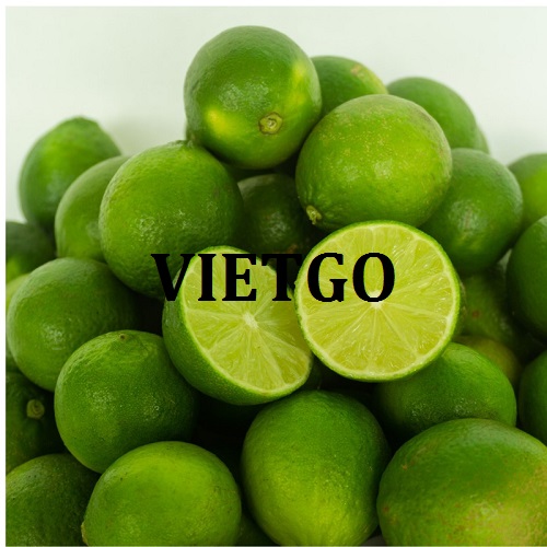 Thương vụ hợp tác xuất khẩu chanh sang thị trường Oman
