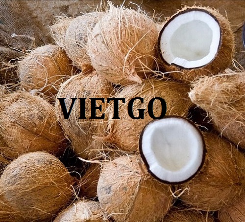 Thương vụ xuất khẩu dừa khô sang thị trường Malaysia
