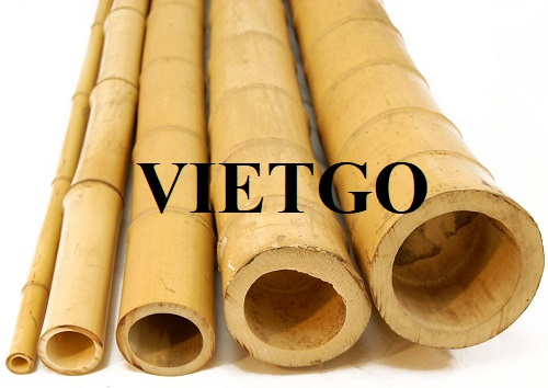 Cơ hội hợp tác xuất khẩu gậy tre sang thị trường Ấn Độ