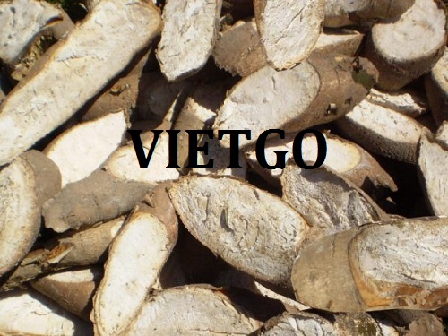 Thương vụ xuất khẩu hàng năm mặt hàng sắn lát sang thị trường Trung Quốc