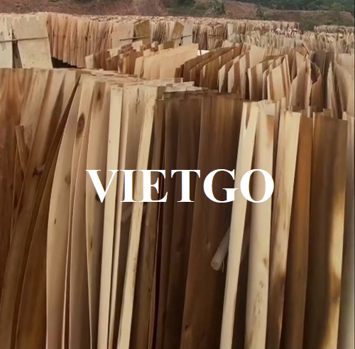 Thương vụ xuất khẩu mặt hàng ván bóc sang thị trường Bangladesh