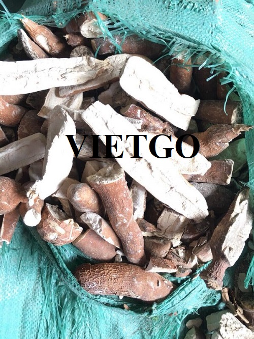 Cơ hội hợp tác với doanh nghiệp tại Campuchia cho đơn hàng nhập khẩu sắn lát với số lượng lớn