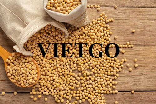 Thương vụ xuất khẩu hạt đậu nành sang thị trường Trung Quốc
