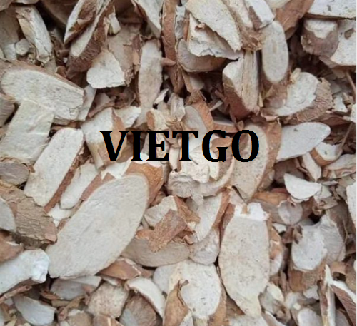 Thương vụ xuất khẩu số lượng lớn sắn lát sang thị trường Trung Quốc