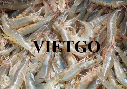 Đối tác đến từ Ả Rập Xê Út đang cần tìm kiếm nhà cung cấp tôm đông lạnh