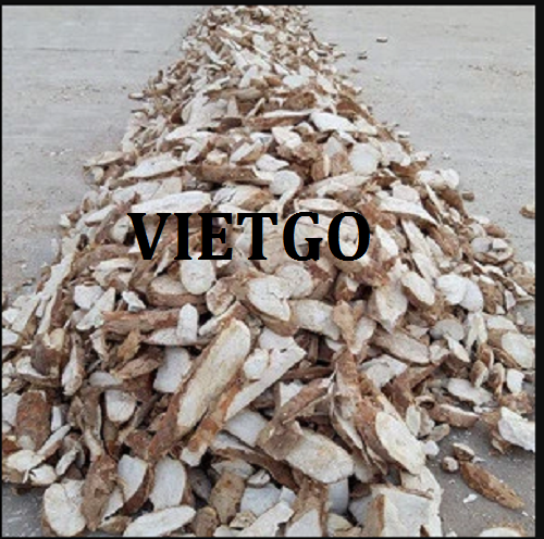 Cơ hội hợp tác xuất khẩu đơn hàng sắn lát sang thị trường Trung Quốc
