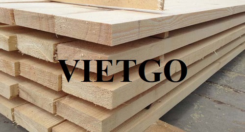 Thương vụ xuất khẩu mặt hàng gỗ thông sang thị trường Ấn Độ