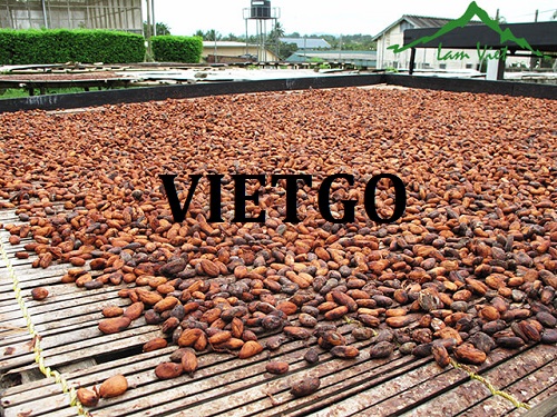 Cơ hội hợp tác xuất khẩu hạt cacao đến thị trường Canada