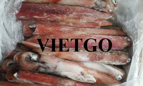 Cơ hội xuất khẩu sản phẩm mực đông lạnh đến thị trường Oman