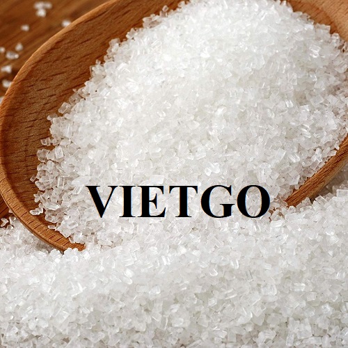 Cơ hội hợp tác xuất khẩu đường mía đến từ vị khách hàng người Đức