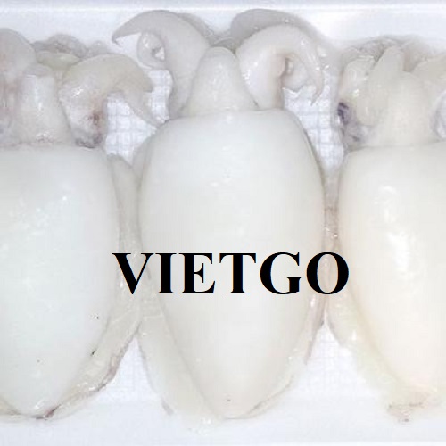 Thương vụ xuất khẩu mực nang sang thị trường Bỉ