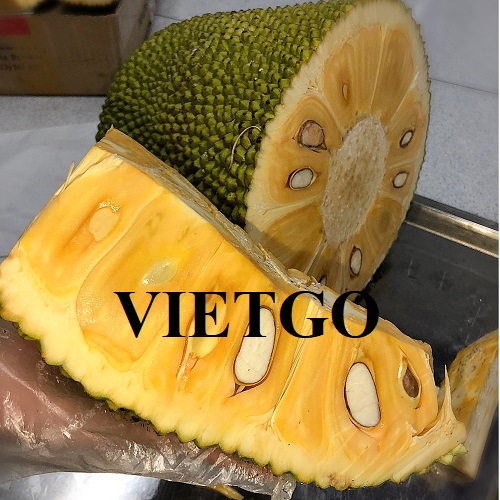 Thương nhân người Trung Quốc cần tìm nhà cung cấp mít để xuất khẩu tới thị trường nội địa