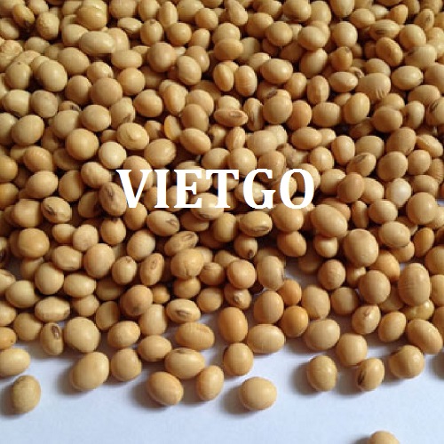 Cơ hội hợp tác xuất khẩu sản phẩm đậu nành sang thị trường Trung Quốc