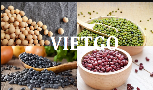 (Gấp) Vị khách hàng Việt Nam cần tìm kiếm nhà cung cấp các loại đậu