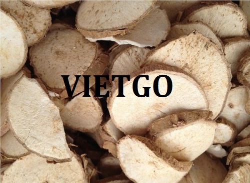 Cơ hội hợp tác xuất khẩu sắn lát đến thị trường Trung Quốc