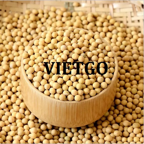 Thương vụ xuất khẩu đậu nành sang thị trường Trung Quốc