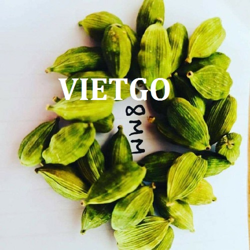 Thương vụ hợp tác với thương nhân người Singapore cho đơn hàng xuất khẩu thảo quả xanh