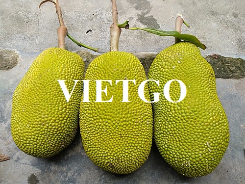 Cơ hội hợp tác với doanh nghiệp tại Malaysia cho đơn hàng nhập khẩu sản phẩm mít