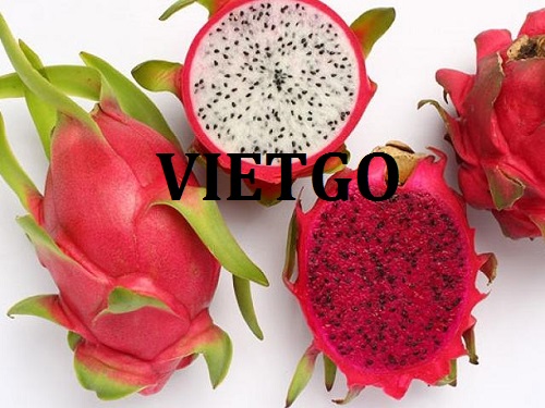 Cơ hội hợp tác xuất khẩu sản phẩm thanh long đến thị trường Australia