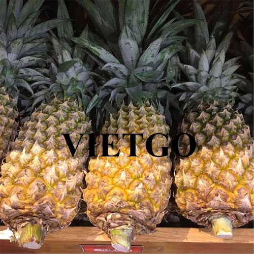 Cơ hội hợp tác với doanh nghiệp tại Malaysia cho đơn hàng nhập khẩu sản phẩm dứa tươi