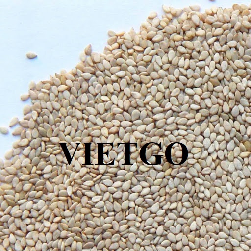 Cơ hội hợp tác xuất khẩu sản phẩm hạt mè sang thị trường Trung Quốc