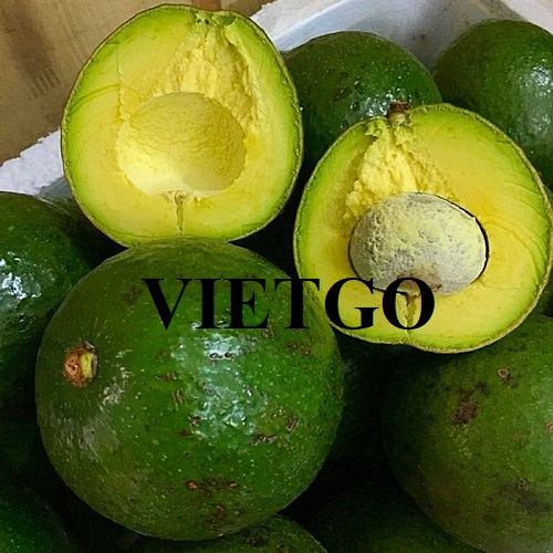 Cơ hội giao thương đến từ vị khách hàng người UAE cho sản phẩm bơ tươi