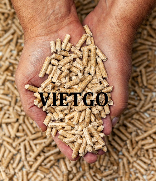 Cơ hội hợp tác với đối tác tại Singapore cho đơn hàng nhập khẩu 30.000 tấn viên nén mùn cưa