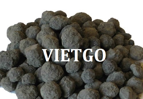 Đối tác đến từ Nga đang tìm kiếm nhà cung cấp clinker