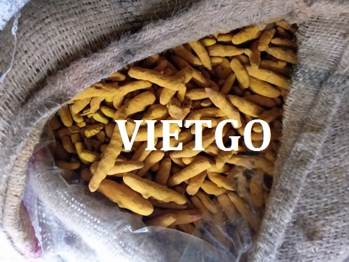 Cơ hội hợp tác với doanh nghiệp tại Ấn Độ cho đơn hàng xuất khẩu nghệ