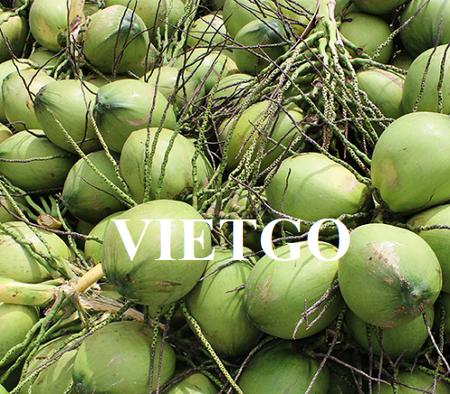 Cơ hội giao thương xuất khẩu sản phẩm dừa tươi sang thị trường Ai Cập