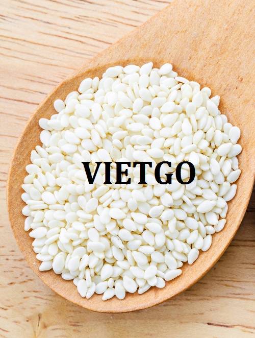 Cơ hội xuất khẩu hạt mè hàng tháng đến thị trường Ả Rập Xê Út