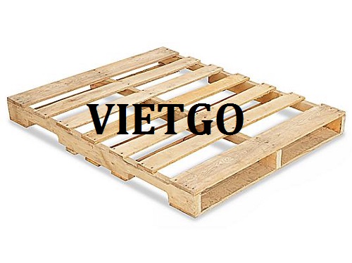 Thương vụ xuất khẩu pallet gỗ sang thị trường Canada