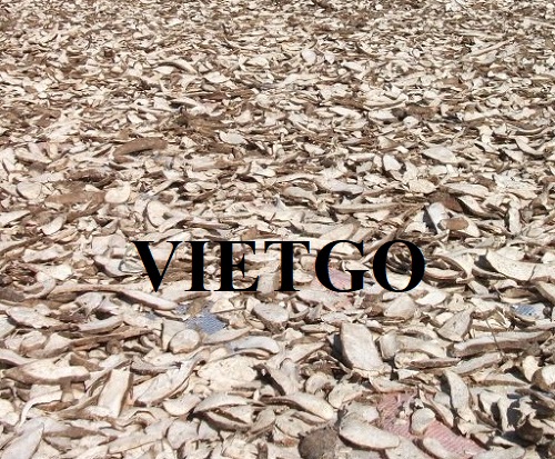 (Gấp) Thương vụ xuất khẩu dài hạn mặt hàng sắn lát sang thị trường Trung Quốc