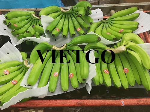 Thương vụ hợp tác xuất khẩu sản phẩm chuối cùng vị doanh nhân đến từ Sri Lanka