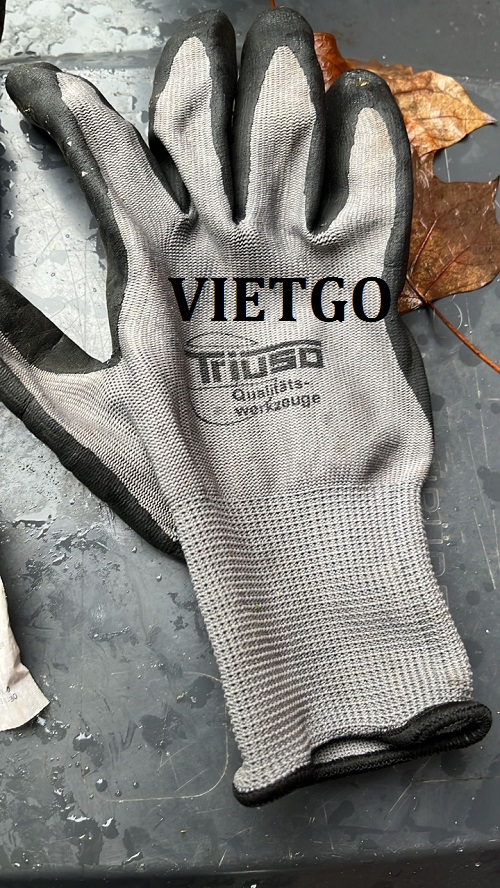 Thương vụ xuất khẩu sản phẩm găng tay lao động sang thị trường Đức