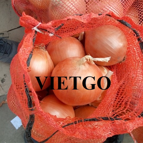 Thương vụ hợp tác xuất khẩu sản phẩm hành sang thị trường Dubai, Singapore và Australia
